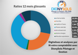 Digitalisez et analysez vos écritures comptables avec DionySols