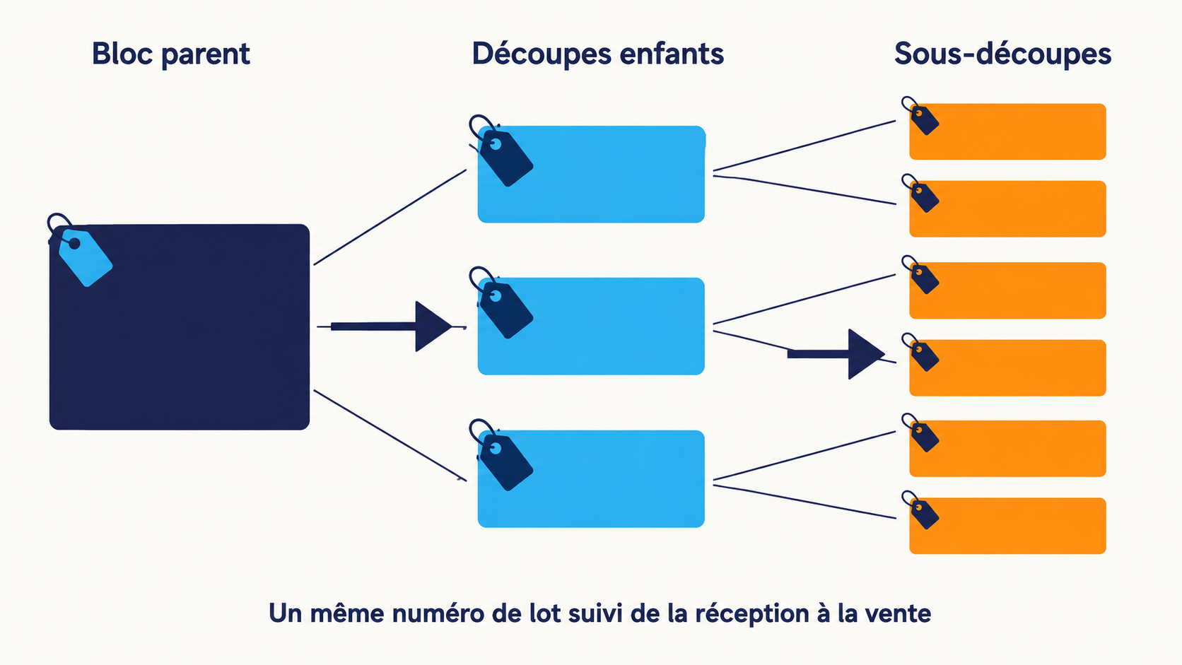 Infographie montrant la cha&icirc;ne de tra&ccedil;abilit&eacute; en boucherie : un bloc parent unique se divise en trois d&eacute;coupes enfants, elles-m&ecirc;mes divis&eacute;es en six sous-d&eacute;coupes, chaque niveau portant une &eacute;tiquette de lot