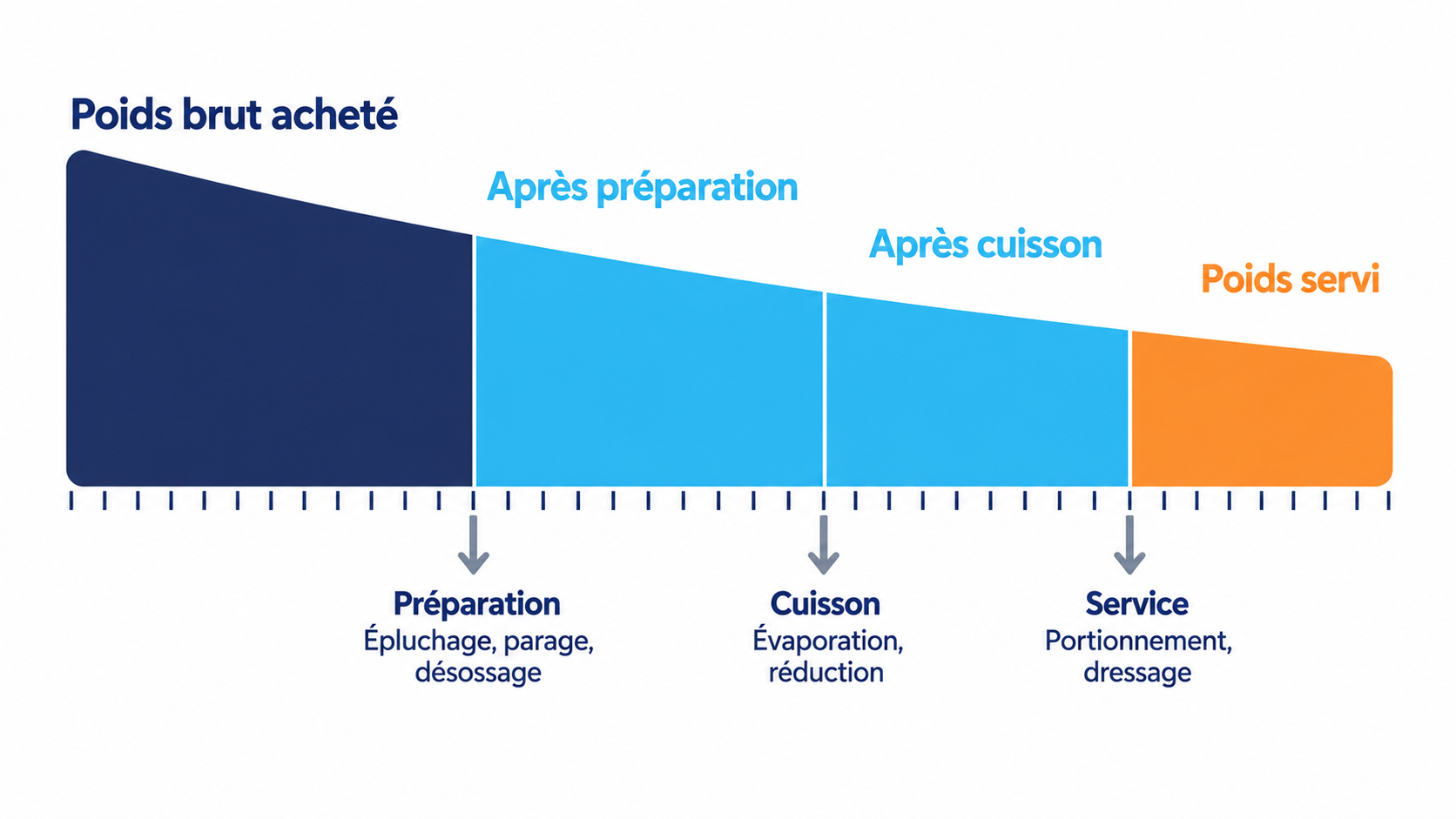 Entonnoir en quatre paliers d&eacute;croissants du poids brut achet&eacute; au poids servi, avec les pertes de pr&eacute;paration, de cuisson et de service rep&eacute;r&eacute;es &agrave; chaque r&eacute;tr&eacute;cissement.